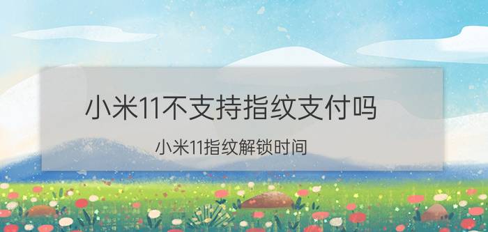 小米11不支持指纹支付吗 小米11指纹解锁时间？